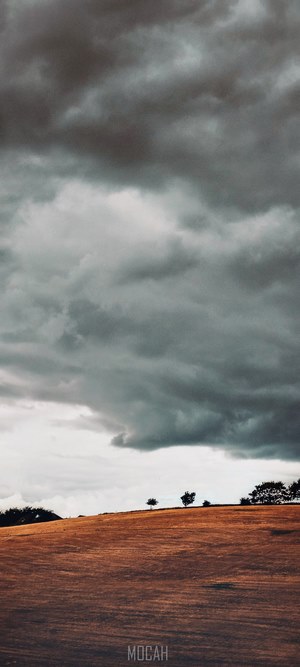 Stormy clouds over a grassy hill with trees