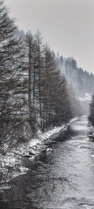 Snowfall on a river with trees