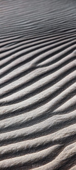 Rippled Sand Dunes