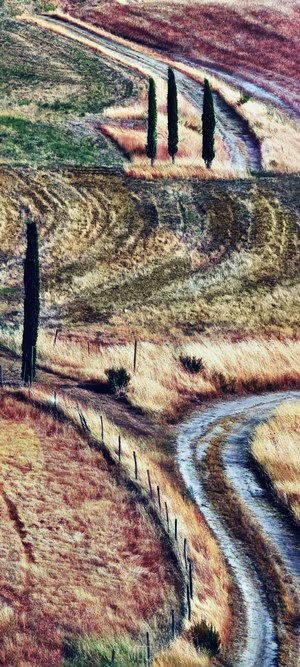 Tuscan landscape with cypress trees and dirt road