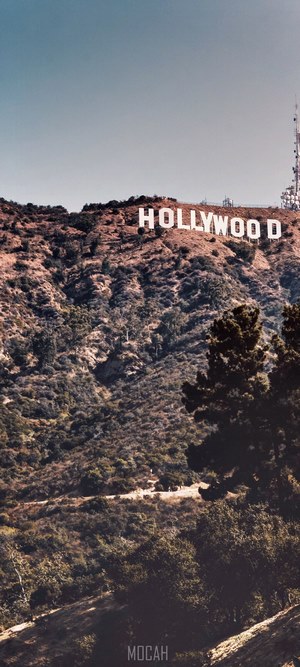 Hollywood Sign on a Hillside