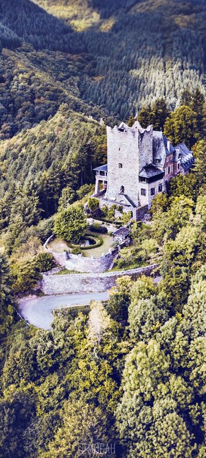 Castle on a forested mountain slope