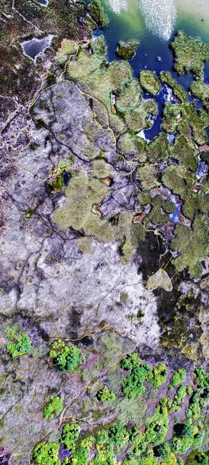 Aerial view of coastal marshland with water features