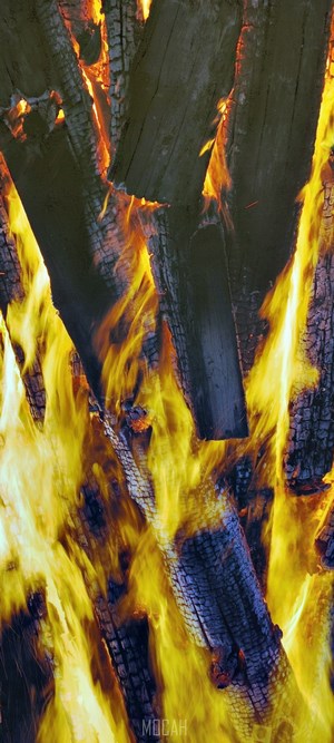 Close-up of burning firewood with bright orange flames