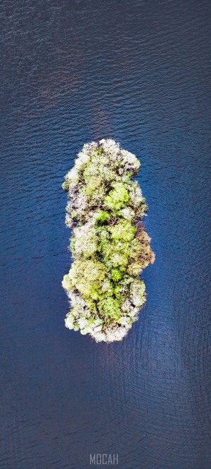 Aerial view of a small island with trees in dark blue water