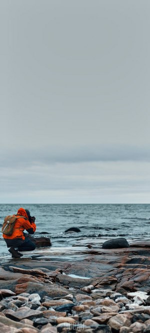 Man photographing on rocky coast at Hammar Sydspets