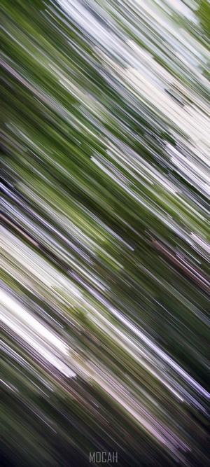 Abstract green and white streaks, motion blur effect