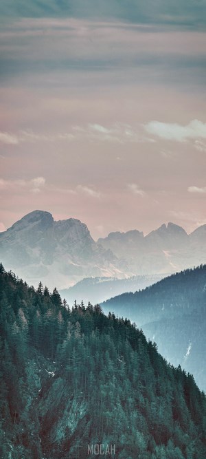 Misty mountains and pine forest under a cloudy sky