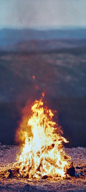 Campfire burning on a beach at dusk