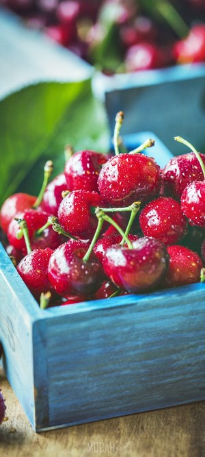 Fresh Cherries in a Blue Crate