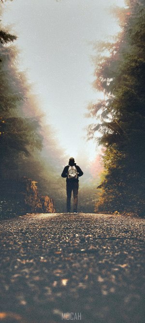 Person with backpack walking on a forest path