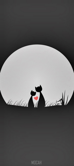 Two cats in love under the moon