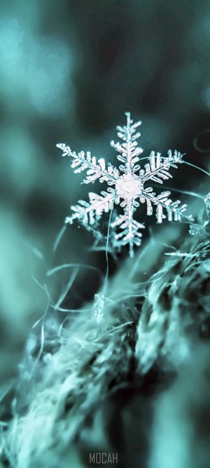 Close-up of a snowflake on a fuzzy surface