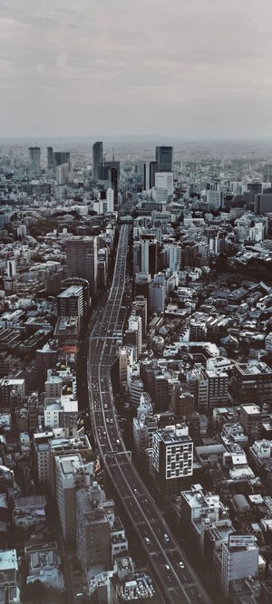 Aerial view of Tokyo cityscape with elevated highway