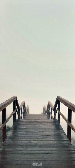 Wooden stairs descending into fog