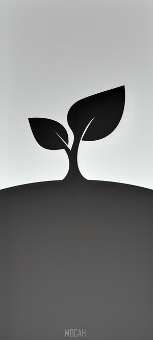 Minimalist seedling illustration with "MOCAH" text