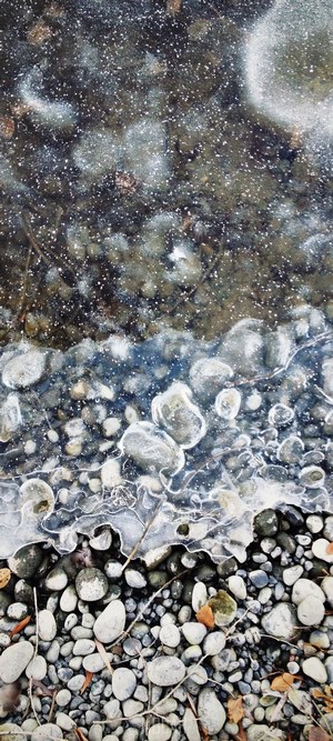 Ice forming over pebbles and rocks