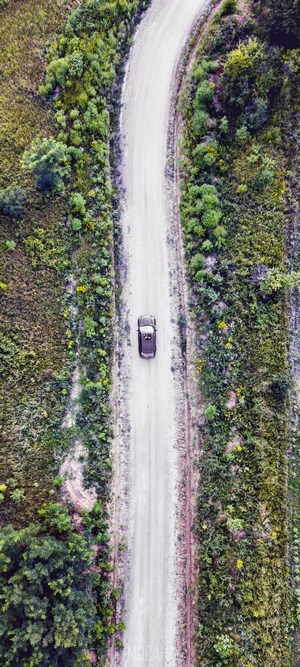 Car on a dirt road through a forest