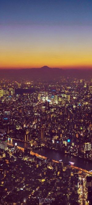 Tokyo cityscape at twilight with Mount Fuji in the distance