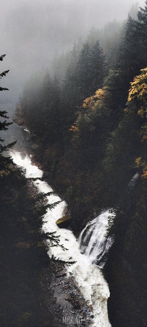 Waterfall tumbling down into a stream in a forest