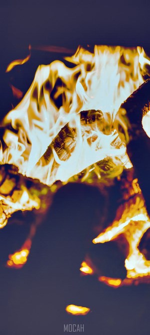 Close-up of a bonfire with flames and firewood