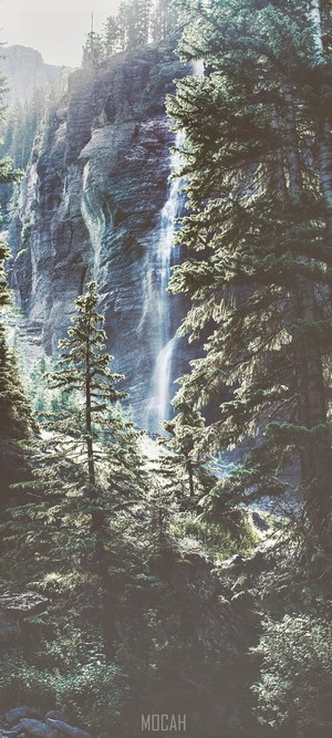 Waterfall in coniferous woods near Telluride