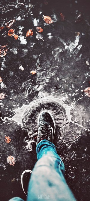 Foot splashing in water with fallen leaves