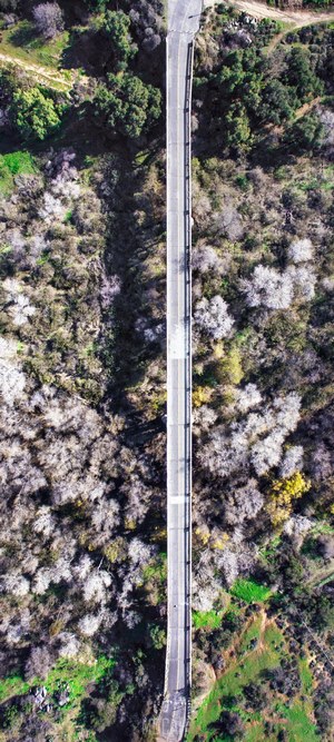 Aerial view of Bonsall Bridge over a wooded canyon