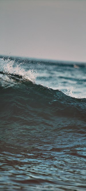 Ocean wave crashing with spray