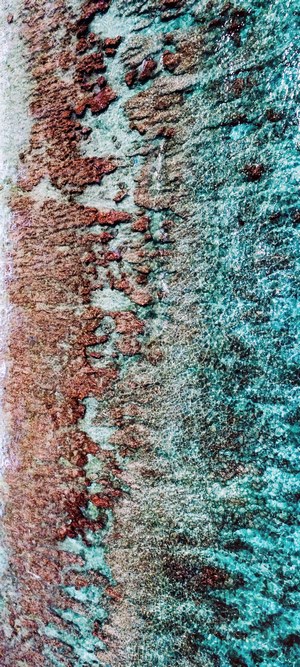 Aerial view of coral reef and ocean