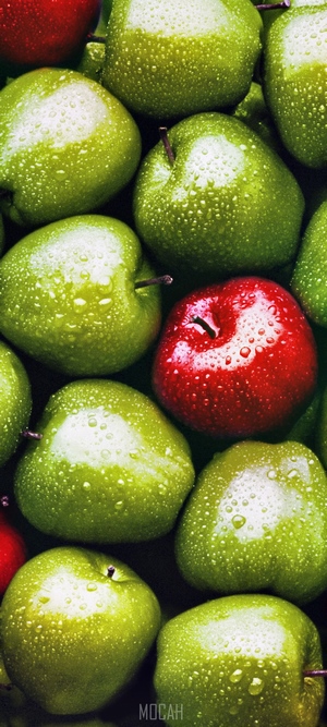 Red and green apples with water droplets