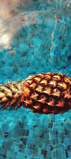 Pineapple floating in a swimming pool