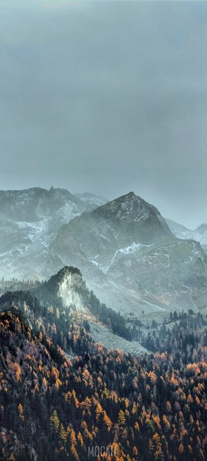 Misty mountains with autumn forest