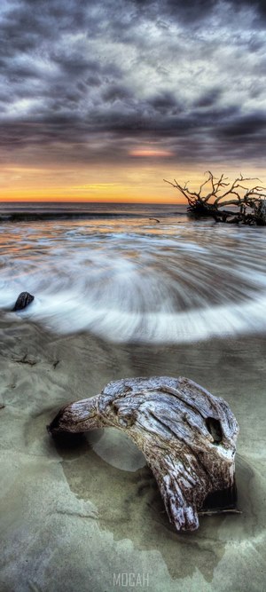 Driftwood on a beach at sunset with stormy clouds