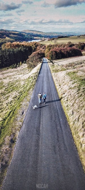 Couple walking dog on road in autumn landscape