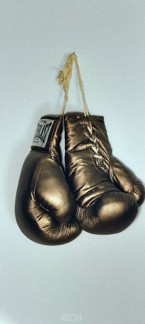 Golden Everlast Boxing Gloves Hanging