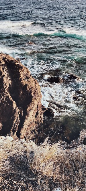 Waves crashing on rocky shore with dry grass