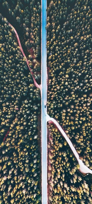 Aerial view of a road through a forest with a car