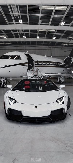 White Lamborghini Aventador parked next to a business jet