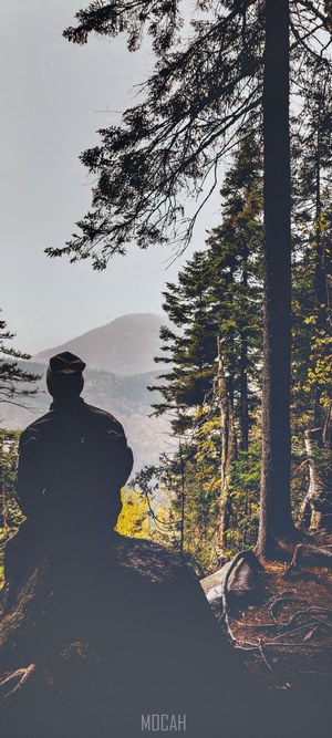 Person in hat looking at mountains from forest