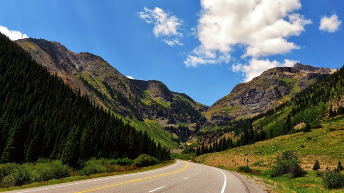 Mountain pass with a winding road and pine trees