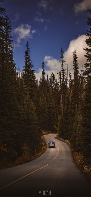 Car On A Road Through A Misty Forest Hd Phone Wallpaper | Rare Gallery