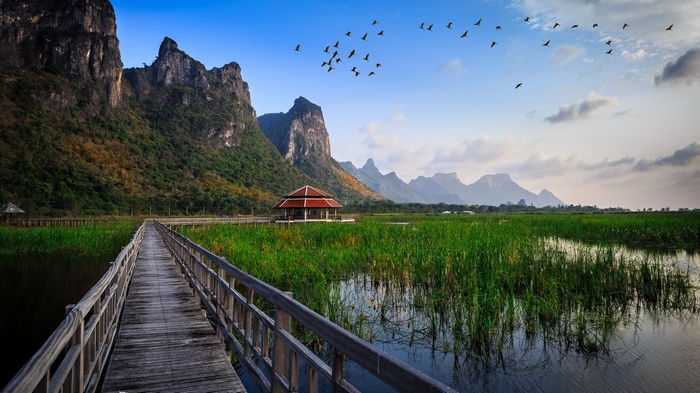 Wooden boardwalk through a marsh with mountains and birds