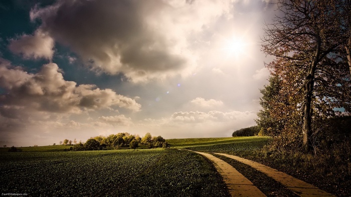 Dirt road through a green field under a cloudy sky