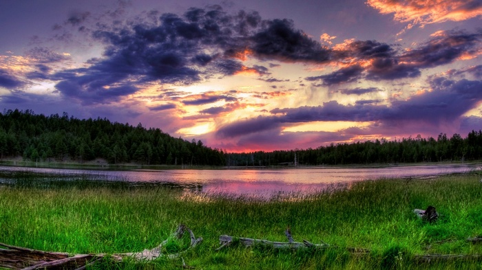 Sunset over a lake with a forest and grassy shore