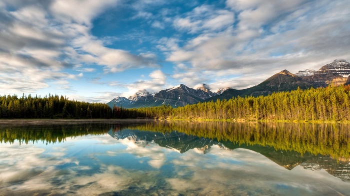 Lake reflection of pine forest and mountains under cloudy sky