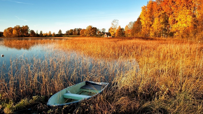 Boat by a lake with autumn trees