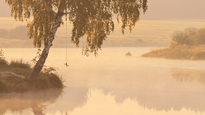 Birch tree with swing over misty river at sunrise