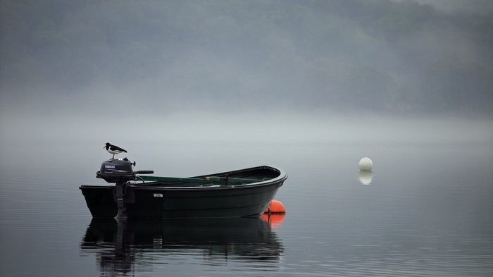 Boat with bird and buoy on foggy lake
