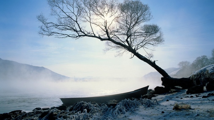 Boat on a misty riverbank with a bare tree